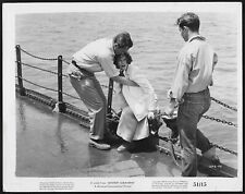 Marta Toren Macdonald Carey Mystery Submarine Original 1950s Promo Photo WWII picture