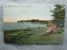 Antique Lower Point And Bay, Silver Creek, New York Postcard 1907 picture
