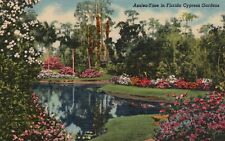 Postcard FL Cypress Gardens Florida Azalea Time 1946 Linen Vintage PC G1288 picture