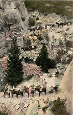 c1910 Postcard; People on Horses Zigzags of Yosemite Trail, Yosemite Valley CA picture