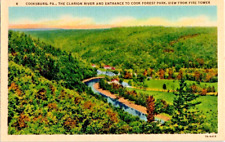 PostCard Fire Tower View Clarion River & Cook Forest Park Cooksburg PA Unposted picture