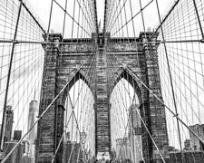 8x10 B&W photo of the Brooklyn Bridge in NYC. picture