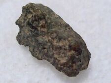 .244 grams NWA 2086 ( classified CV3 ) Meteorite fragment NorthWest Africa w/COA picture