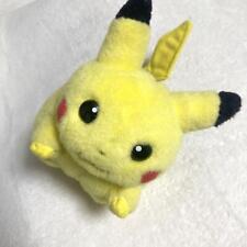 First Generation/Pikachu/Stuffed Toy/ picture