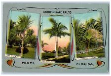 Miami Florida FL Postcard Group Of Rare Palms Screw Royal And Travelers c1910's picture