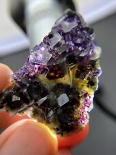 Rare  Natural purple Phantom transparent Green cubic fluorite mineral crystal picture