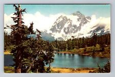 Mount Shuksan WA-Washington, Perpetual Snow, Antique Vintage Souvenir Postcard picture