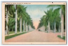 1936 Avenue Of Palms Tree Royal Fort Myers Saint Cloud Florida FL Postcard picture
