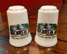 Vintage Roosevelt's Little White House Warm Springs Georgia Salt & Pepper Shaker picture