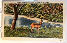 By the Quiet Waters, Wish You Were Here Dear - Vintage Postcard - Unposted picture