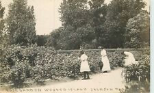 Postcard RPPC Illinois Chicago C-1910 Rose Garden Wooded Island Jackson 23-2235 picture