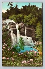 Minnewaska NY-New York, Peterskill Falls, Lake Minnewaska Vintage Postcard picture
