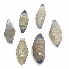 Sapphire Corundum Crystals 6 Piece Lot Weighing 104.43 Carats Genuine Natural picture