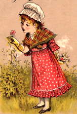 1882 BORAXINE J D Larkin & Son Lovely Girl Polka Dot Dress Victorian Trade Card picture