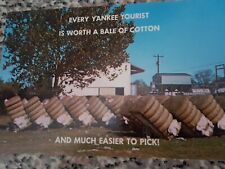 Postcard: Every Yankee Tourist is Worth a Bale of Cotton & Much Easier to Pick picture