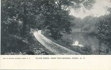 PERRY NY - Silver Creek Near Twin Bridges Postcard picture