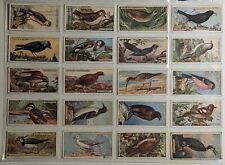 1923 Ogden's Cigarettes British Birds Cut-Outs Series Of 50 Cards Complete picture