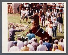 1990 Gulfstream Park Horse Hallandale Beach FL Jockey Vintage Color Press Photo picture