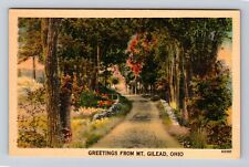 Mt Gilead OH-Ohio, Panoramic Greetings, Antique Souvenir Vintage Postcard picture