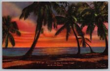 Florida Miami Beach Sunrise Coast Tropical Palms Oceanfront Shoreline Postcard picture
