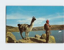 Postcard Lake Titicaca Bolivia South America picture