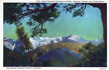 Snow Capped Greenhorn Peaks San Isabel National Forest Colorado UNP Postcard picture