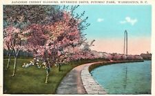 Postcard Washington DC Cherry Blossoms Riverside Drive Potomac Vintage PC H4831 picture