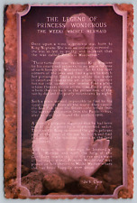 The Legend of Princess Wonderous-The Weeki Wachee Mermaid-VTG Florida Postcard picture