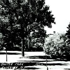 1954 Enderlin North Dakota Baxter Park Trees Unused Real Photo Postcard RPPC A2 picture