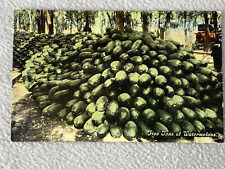 Vintage Postcard Five Tons of Watermelons No. A370 picture