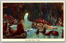 Sea Lion Caves Oregon Interior Cavern Winter Home Animals Vintage UNP Postcard picture