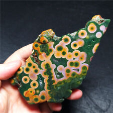 TOP 103G Natural Polished Orbicular Ocean Jasper Slice Reiki Crystal Gift BB201 picture