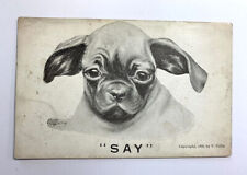 Vintage Postcard Illustrated, Dog, C1909, Signed V. Colby, Divided, No stamp picture