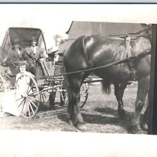c1900s Cool Men Big Horse Drawn Carriage RPPC Farm Girl Smile Real Photo PC A135 picture