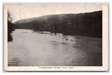 Farmington River View Avon Connecticut CT UNP  DB Postcard U4 picture