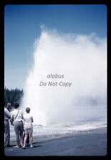 Orig 1961 SLIDE View of Daisy Geyser Erupting Yellowstone National Park WY picture