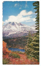 Washington WA Postcard Mount Rainier picture