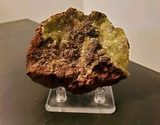 **Genuine Raw Mineral** Green Adamite Crystal Crust On Limonite From Mexico picture
