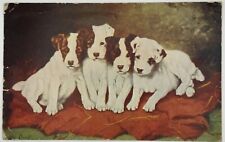 1907-1915 4 Adorable Jack Russell Terrier Pups Postcard Signed Lilian Cheviot picture