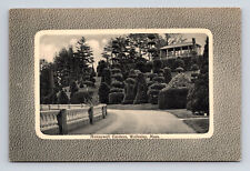 Hunnewell Gardens Topiary Sculpted Bushes Wellesley Massachusetts MA Postcard picture