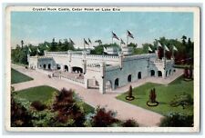 c1920s Crystal Rock Castle Cedar Point Lake Erie Ohio OH Unposted Flags Postcard picture