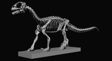 3d printed The skull of BABY MUSSAURUS skeleton model dinosaur 1:1 picture