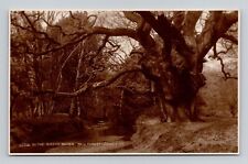 RPPC Queen's Bower Oak New Forest Isle of Wight England, Vintage Real Photo E19 picture