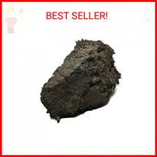 Large Naturally Magnetic Lodestone 1/2 to 3/4 Pound picture