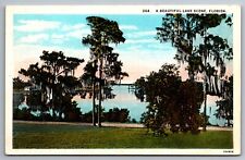 Postcard  Lake Scene Orlando  Florida    G 9 picture