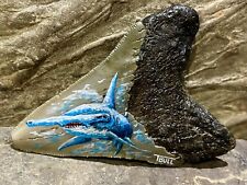 Hand Painted Hammerhead Shark Meg Tooth, 3.3” Real Megalodon Shark Fossil picture