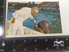 postcard FL - Marine Studios Marineland - Doctor Brushes teeth of trained whale picture