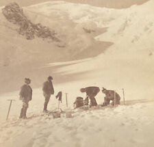 Mt Blanc Ascent Grand Plateau Climbers Resting In Sight of Summit Alps c1901 SA6 picture