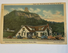 Winona MN~Sugar Loaf From Gateway to Summer Playground~Vintage Linen Postcard picture