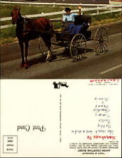 Amish Courting Buggy unmarried bachelor Pennsylvania Dutch chrome 1970s picture